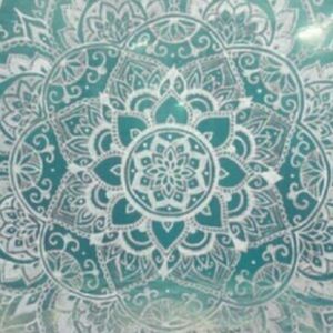 Meet your Posher, Sophia